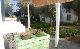 Edem Hotel